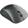 Мишка Canyon MW-11 Wireless Pixart Black (CNE-CMSW11B) зображення 5