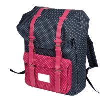 Рюкзак шкільний ZiBi Simple PINK BELT (ZB17.0636PB)