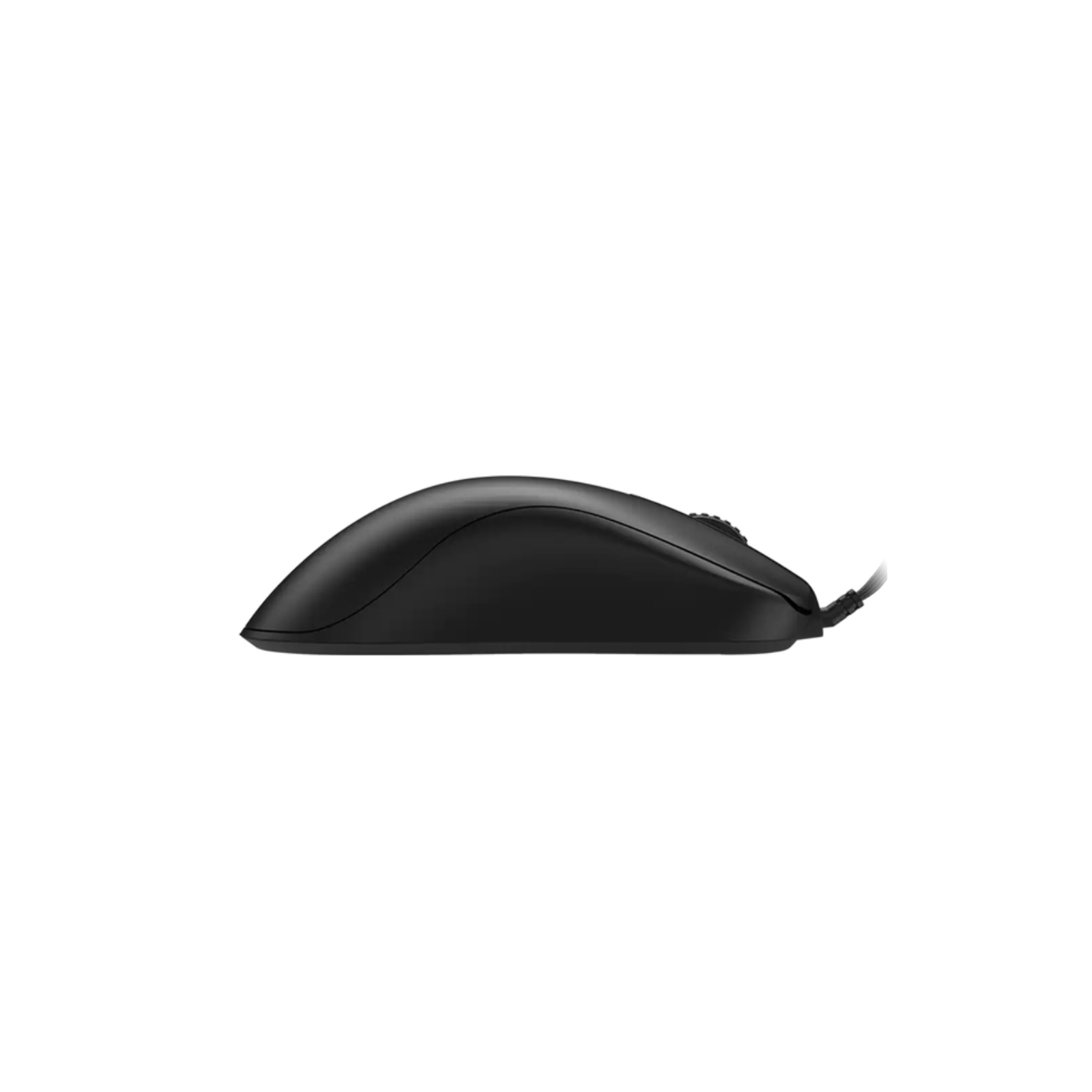 Мышка Zowie FK1-C USB Black (9H.N3DBA.A2E) изображение 2
