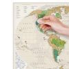Скретч карта 1DEA.me Travel Map Geography World (13029) изображение 4