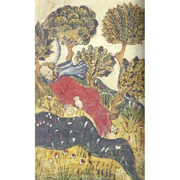 Книга Сер Ґавейн і Зелений Лицар, а також Перлина і Сер Орфео - Джон Р. Р. Толкін Астролябія (9786176642381) зображення 10