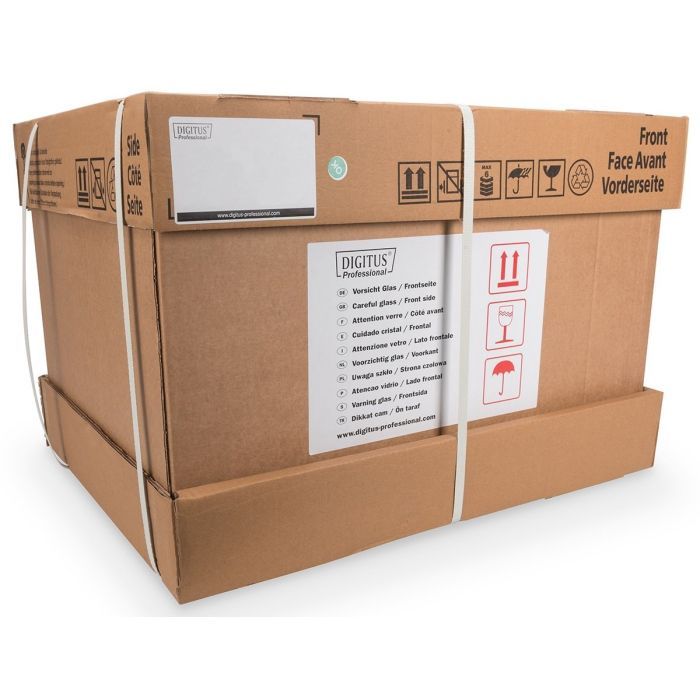 Шафа настінна Digitus Wall Mounting Unique 19" 12U 600x600, RAL 9005 (DN-1912U-6/6-SW) зображення 2