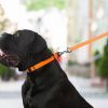 Повідець для собак Evolutor 210 см 25 мм помаранчевий (42124) зображення 9