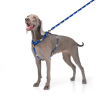 Шлей для собак WAUDOG Nylon с QR паспортом анатомическая H-образная "Флаг" М (5150-0229) изображение 3