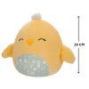 М'яка іграшка Squishmallows Пташеня Еймі 19 см (SQER00824) зображення 2