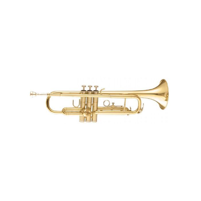 Труба Maxtone TTC30L (TTC1C) зображення 2