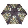 Парасоля Fulton National Gallery Tiny-2 L794 National Gallery Tiny-2 Bosschaert (L794-085297) зображення 4
