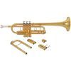 Труба Yamaha YTR-4435GII C/Bb изображение 2