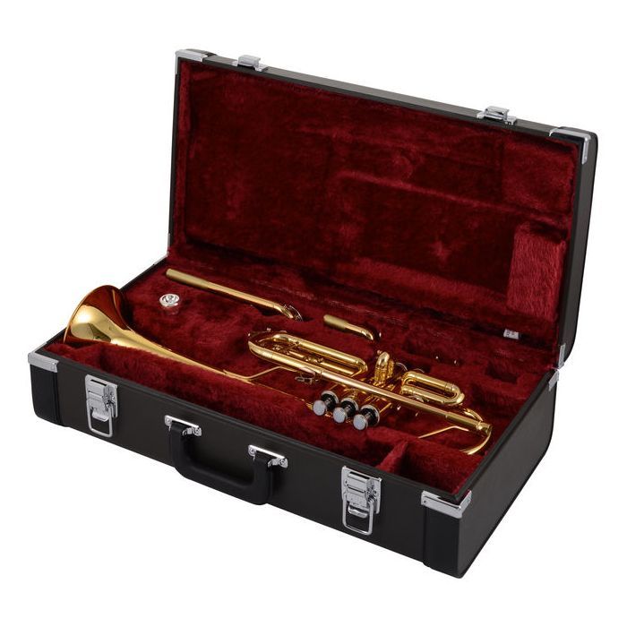 Труба Yamaha YTR-4435GII C/Bb изображение 6