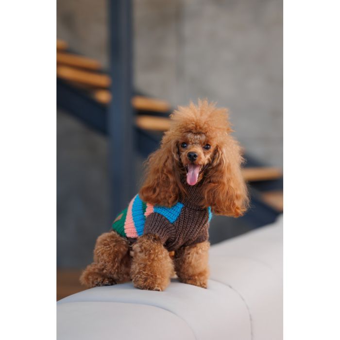 Свитер для животных Pet Fashion Happy S (4823082436118) изображение 4