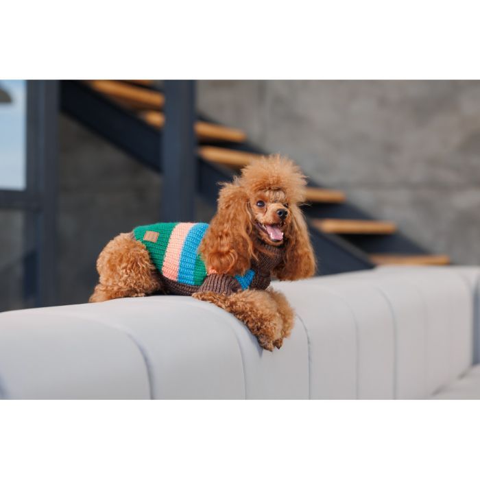 Свитер для животных Pet Fashion Happy S (4823082436118) изображение 5
