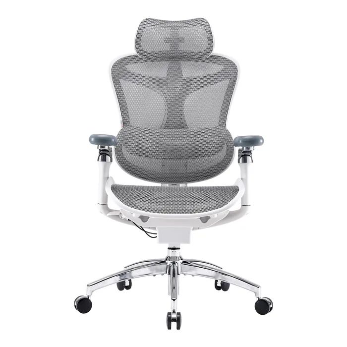 Офисное кресло Sihoo DORO C300 Pro Mesh White (DORO-C300-PRO-M102)