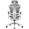 Офисное кресло Sihoo DORO C300 Pro Mesh White (DORO-C300-PRO-M102) изображение 2