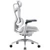 Офисное кресло Sihoo DORO C300 Pro Mesh White (DORO-C300-PRO-M102) изображение 3
