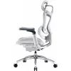 Офисное кресло Sihoo DORO C300 Pro Mesh White (DORO-C300-PRO-M102) изображение 4