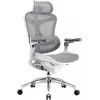 Офисное кресло Sihoo DORO C300 Pro Mesh White (DORO-C300-PRO-M102) изображение 5