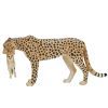 Фигурка Mojo Cамка гепарда с детенышем (387167) изображение 2