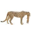 Фигурка Mojo Cамка гепарда с детенышем (387167) изображение 4