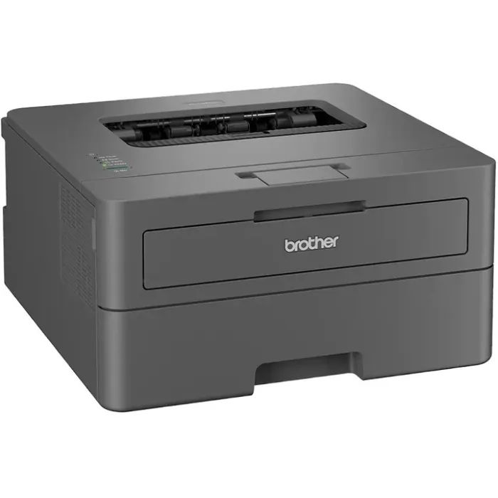 Лазерный принтер Brother HL-L2402DYJ1 (HLL2402DYJ1) изображение 2