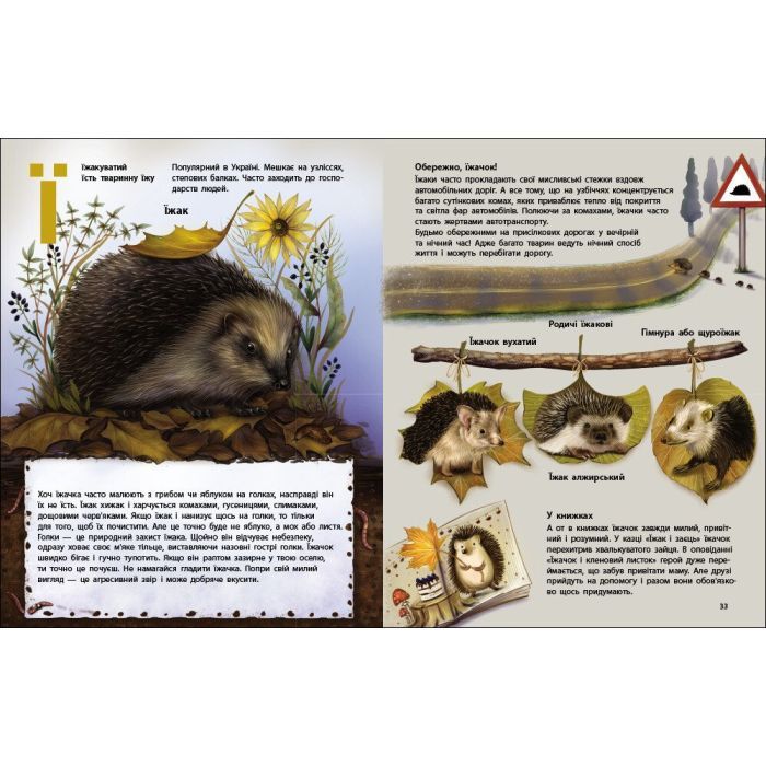 Книга Живий світ України - Н. Коваль Активний розвиток талантів (9786170999801) зображення 3