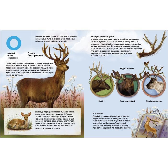 Книга Живий світ України - Н. Коваль Активний розвиток талантів (9786170999801) зображення 4