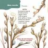 Книга Віршенята-загадки для малят. 35 років - Ю. Пеліхова 4mamas (9786170043092) зображення 10