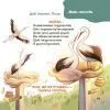 Книга Віршенята-загадки для малят. 35 років - Ю. Пеліхова 4mamas (9786170043092) зображення 9