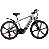 Електровелосипед Rover Cross 1 Silver (345273)