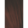 Краска для волос Schwarzkopf Professional Igora Royal 4-88 60 мл (4045787206241) изображение 2