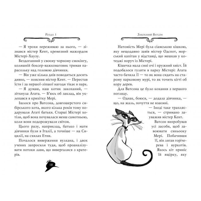 Книга Агата Містері. Операція "Джунглі". Книга 17 - Сер Стів Стівенсон Видавництво РМ (9786178248543) изображение 4