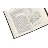 Книга Крадійка книжок - Маркус Зузак КСД (9786171283114) зображення 5