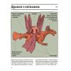 Книга ОЦЕ ТАК ПАТЕНТ! Книга неймовірних винаходів Видавництво Старого Лева (9789664480755) изображение 10
