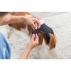 Гігієнічні труси для собак Trixie S 24-31 см (чорні) (4011905234915) зображення 5