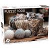 Пазл Tactic на 1000 элементов Милые котята (56803)