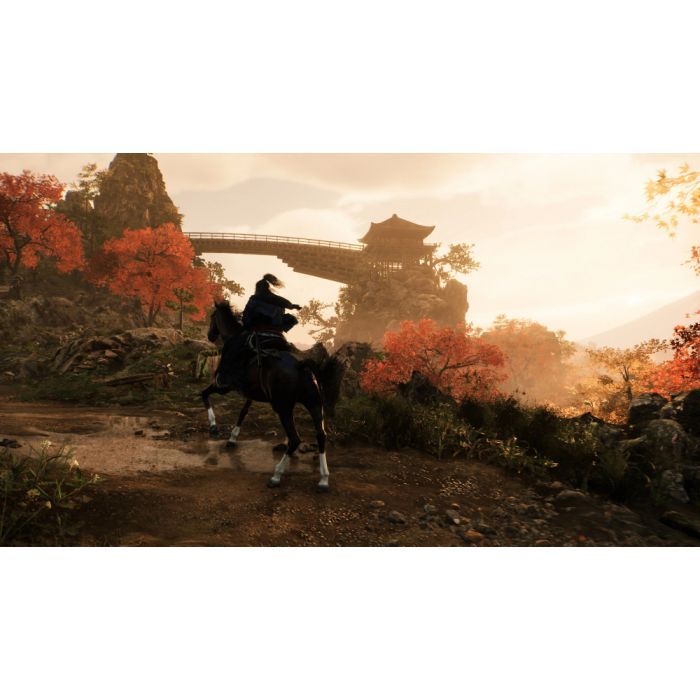 Игра Sony Rise of the Ronin, BD диск [PS5] (1000042897) изображение 10