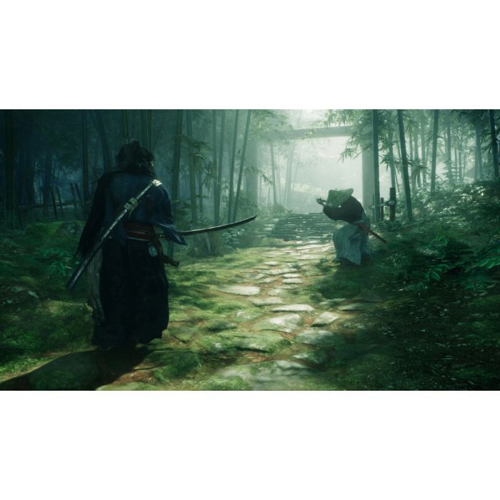 Игра Sony Rise of the Ronin, BD диск [PS5] (1000042897) изображение 11