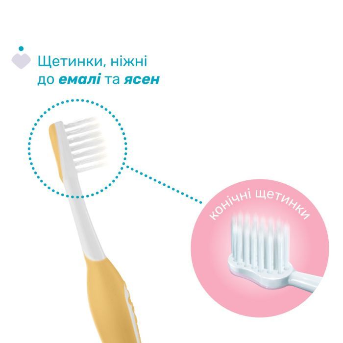 Дитяча зубна щітка Chicco для перших зубів, 6-36 міс., 2 шт. (8058664174713) (12082.11) зображення 3