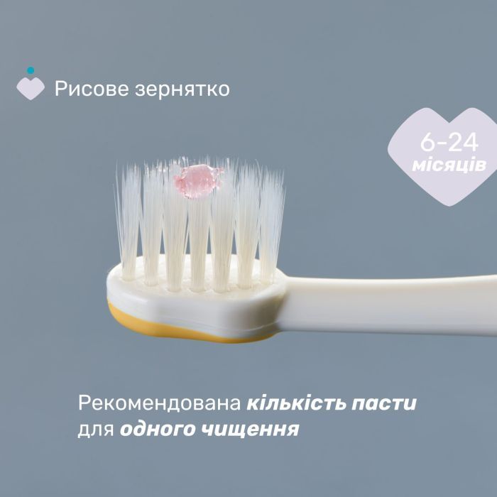 Дитяча зубна щітка Chicco для перших зубів, 6-36 міс., 2 шт. (8058664174713) (12082.11) зображення 4