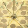 Парасоля Fulton National Gallery Tiny-2 L794 Sunflowers (L794-031889) зображення 11
