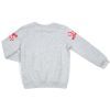 Спортивний костюм дитячий Breeze BACK (14415-134B-gray) зображення 4