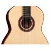 Гитара классическая Cordoba C7 SP изображение 3