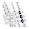 Труба Yamaha YTR-4435Sll (C/Bb) изображение 4
