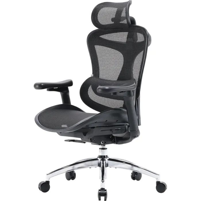 Офисное кресло Sihoo DORO C300L Mesh White (DORO-C300L-A3-102)