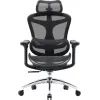 Офисное кресло Sihoo DORO C300L Mesh Black (DORO-C300L-A3-101) изображение 2