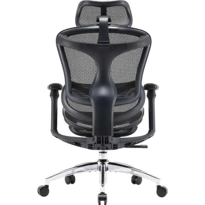 Офисное кресло Sihoo DORO C300L Mesh White (DORO-C300L-A3-102) изображение 3