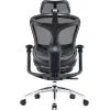 Офисное кресло Sihoo DORO C300L Mesh Black (DORO-C300L-A3-101) изображение 3