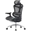 Офисное кресло Sihoo DORO C300L Mesh Black (DORO-C300L-A3-101)