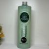 Шампунь BBcos Green Care Essence Anti-Dandruff Shampoo 1000 мл (8051566445943) зображення 2