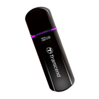 USB флеш накопитель Transcend 32Gb JetFlash 600 (TS32GJF600)