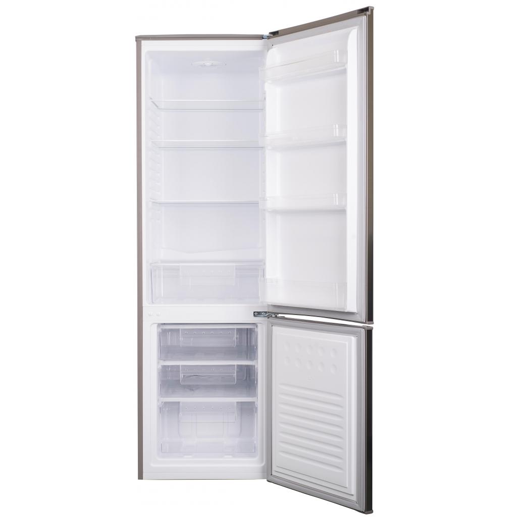 Холодильник Ergo MRF-177 S изображение 5